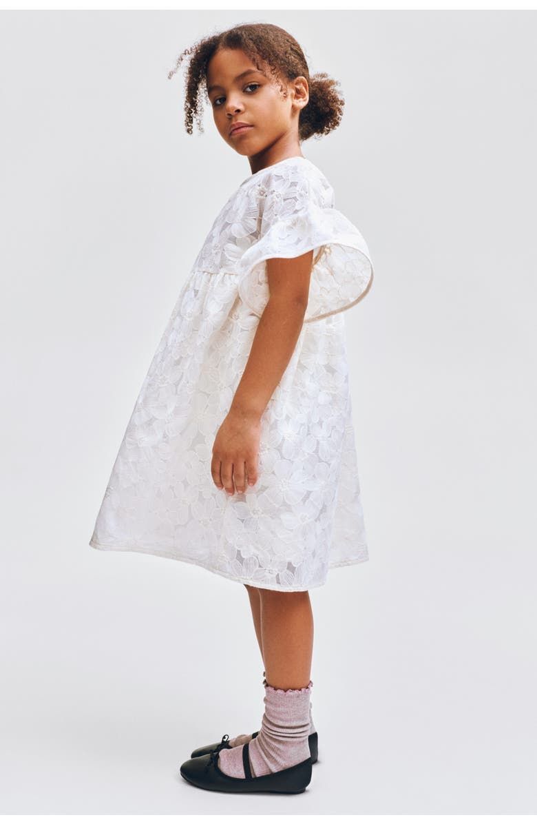 H&M Embroidered Flutter-sleeved Dress, Alternate, color, Cream