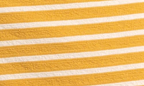 Thread & Supply Jenna Stripe Tank Dress