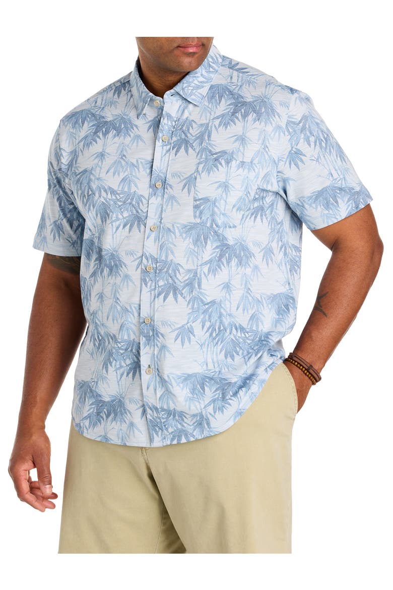 Big & Tall San Lucio Tides IslandZone® Polo Shirt, Main, color, OPAL SURF