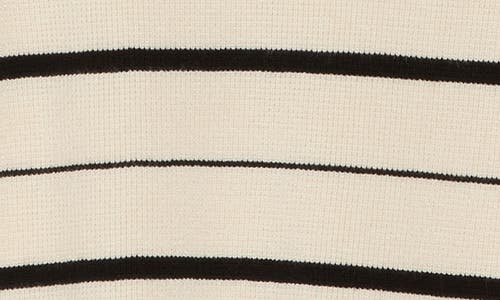 Adrianna Papell Stripe Johnny Collar Polo Sweater In Cream/black