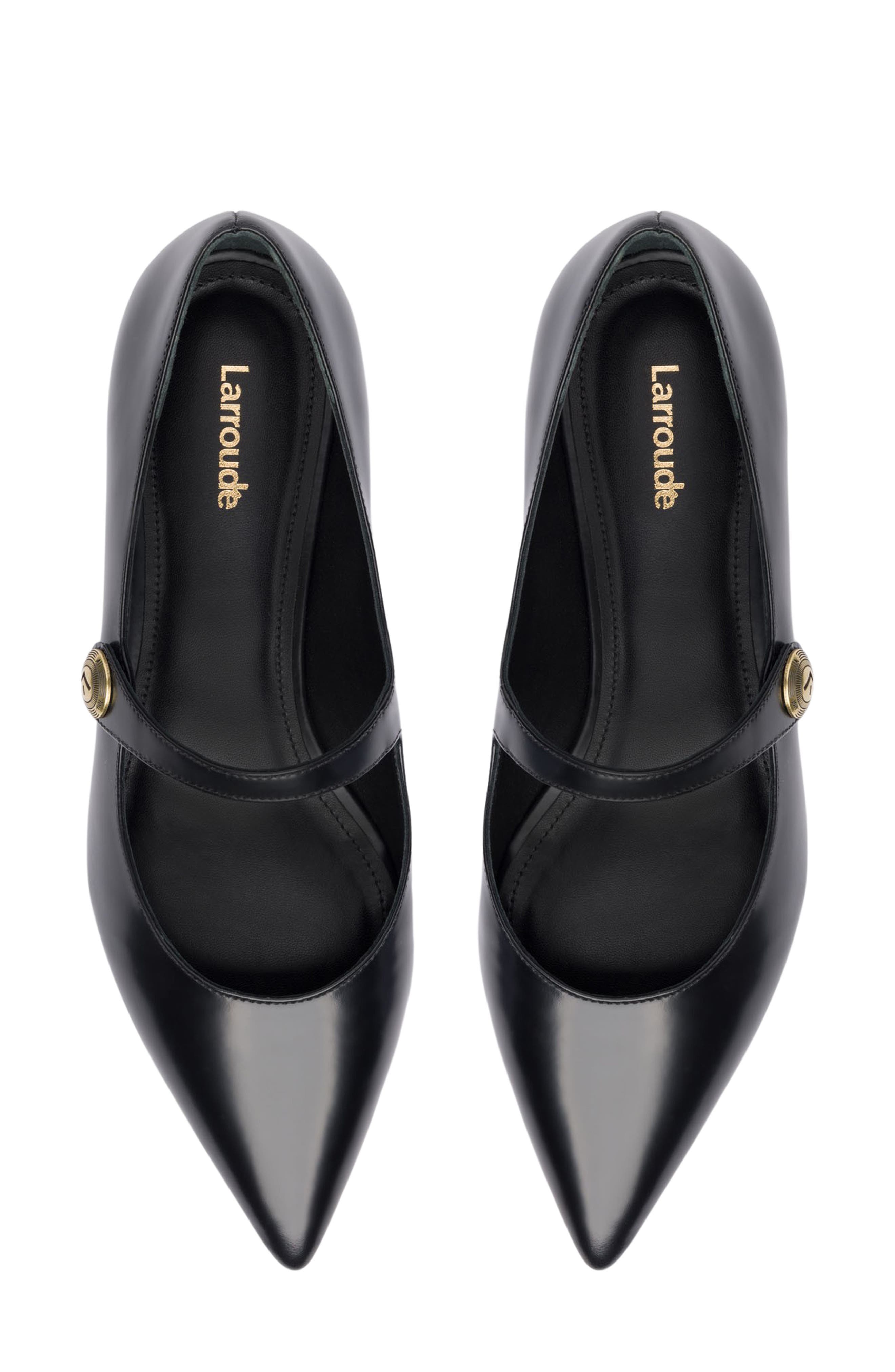 Larroudé Caroline Pointed Toe Mary Jane Flat, Alternate, color, 