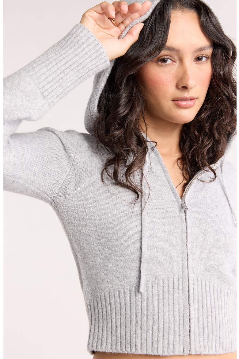 Front Zip Hooded Sweater, Alternate, color, GREY HEATHER