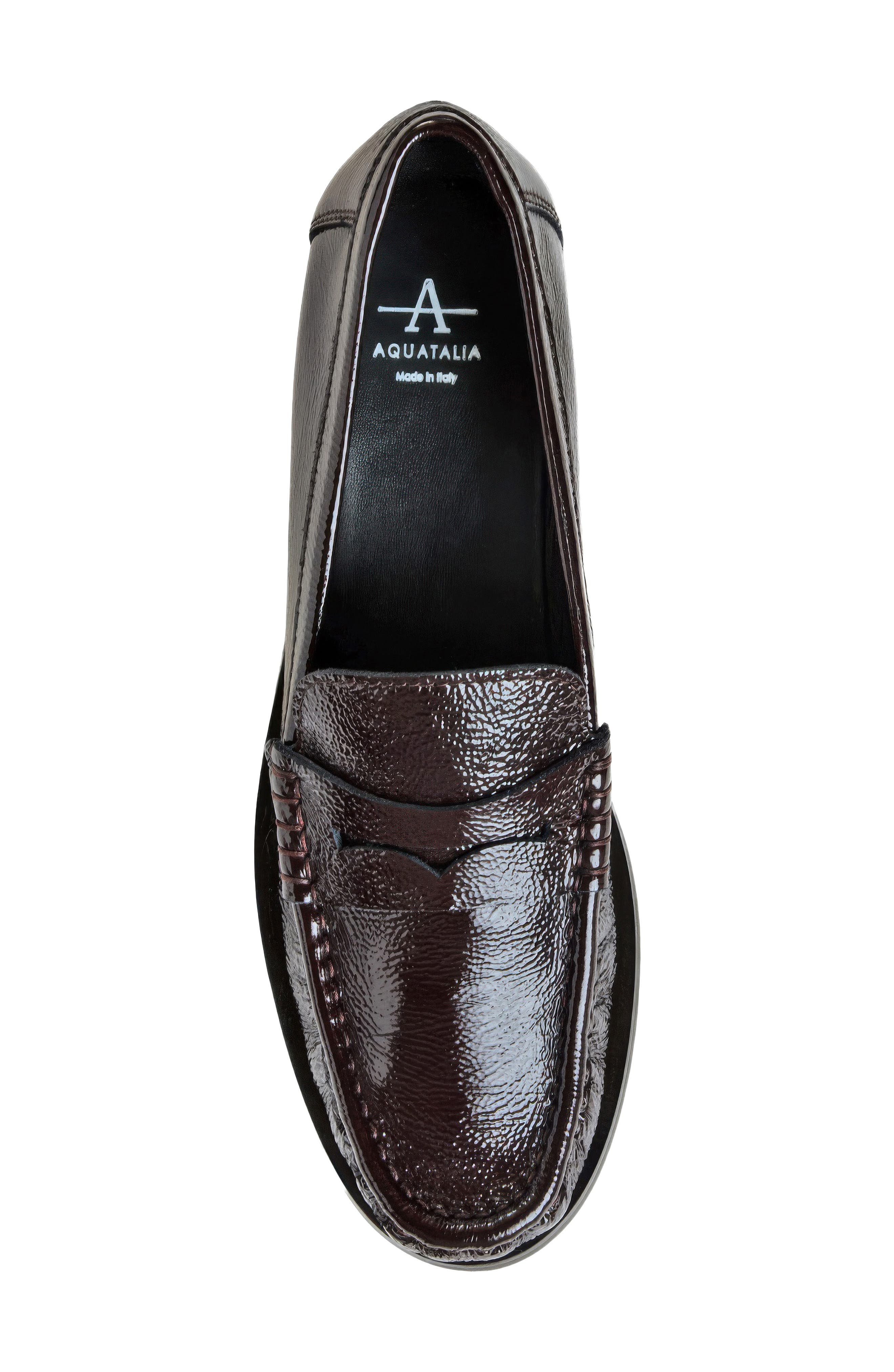 Tabitha Water Repellent Penny Loafer, Alternate, color, BROWN NAPLAK