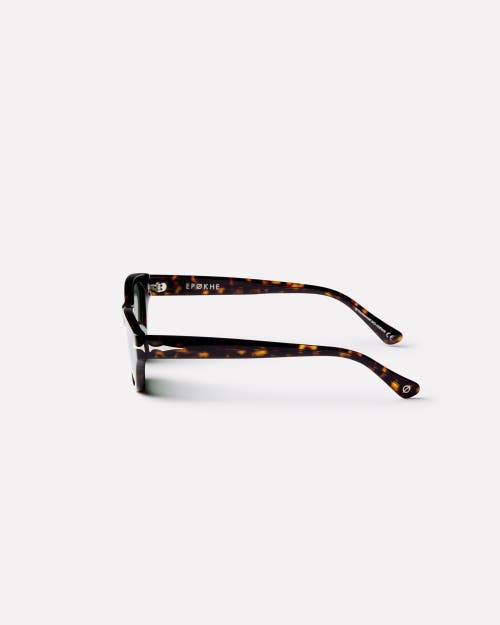 Epokhe Frequency Sunglasses In Brown