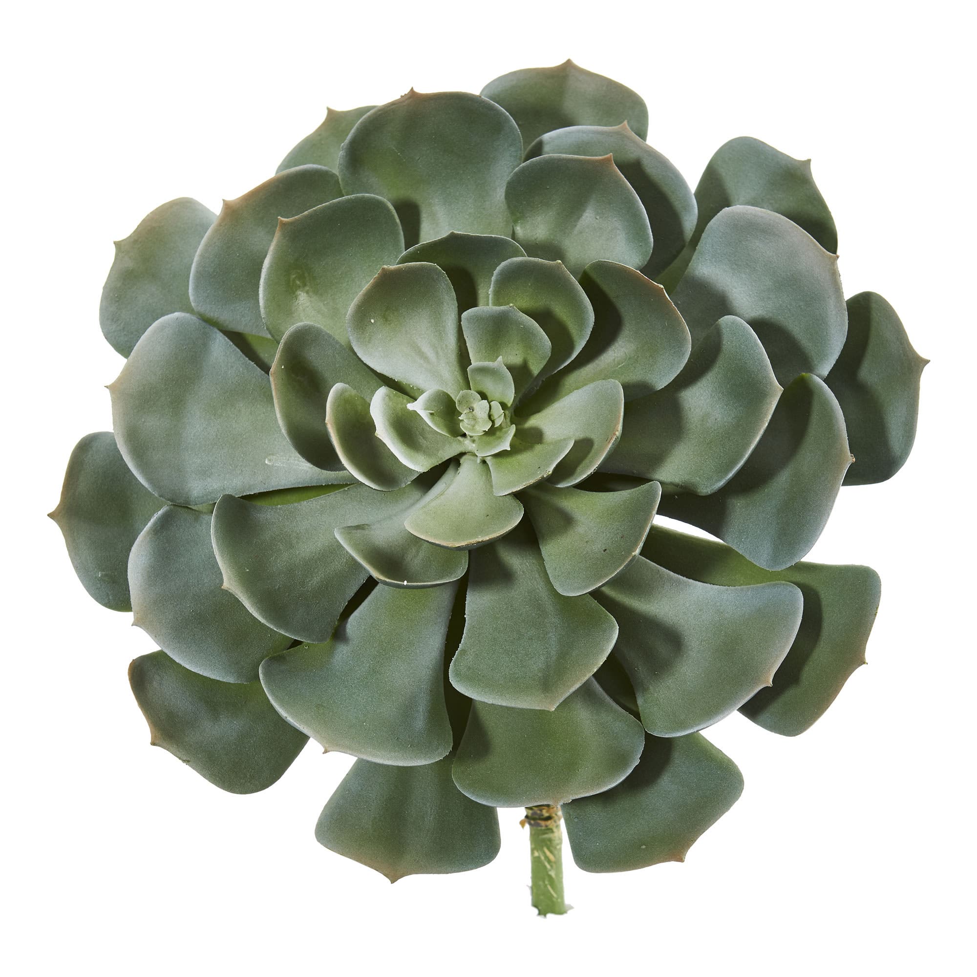 selected Green