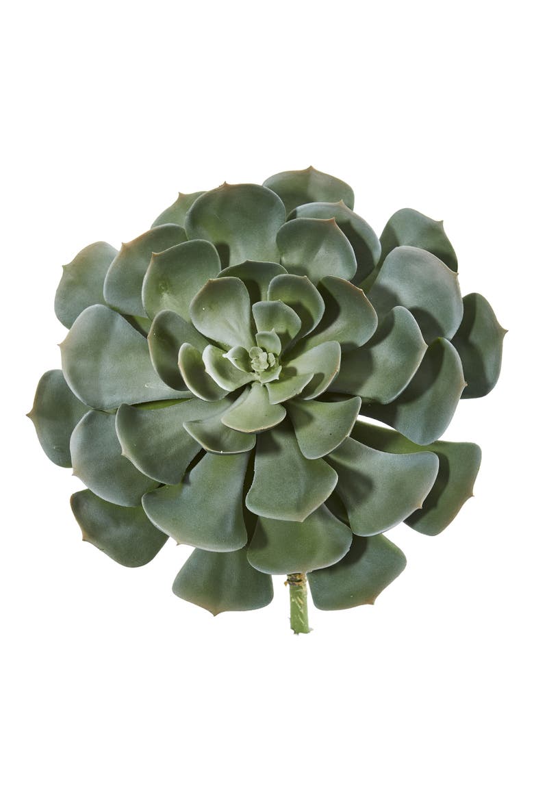 13-in Giant Echeveria Succulent Pick Artificial Plant, Main, color, Green