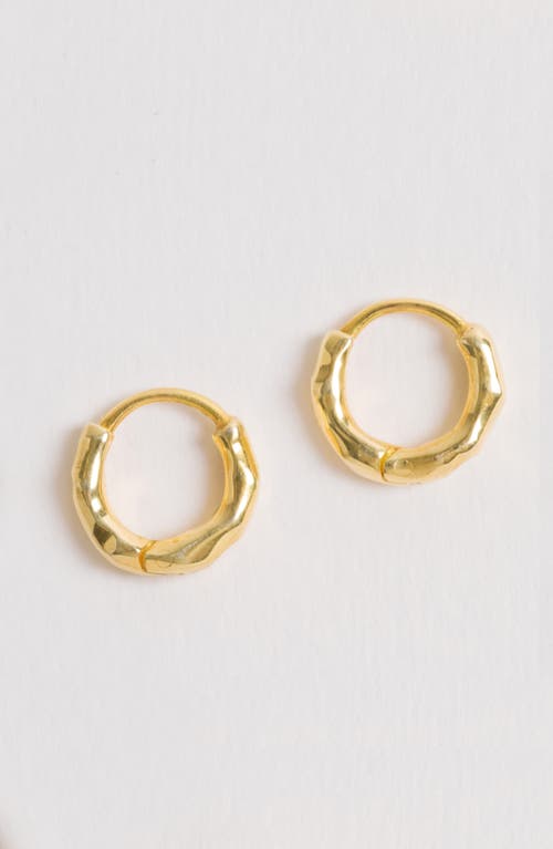 Freya Rose Gold Huggies Earrings In Gold
