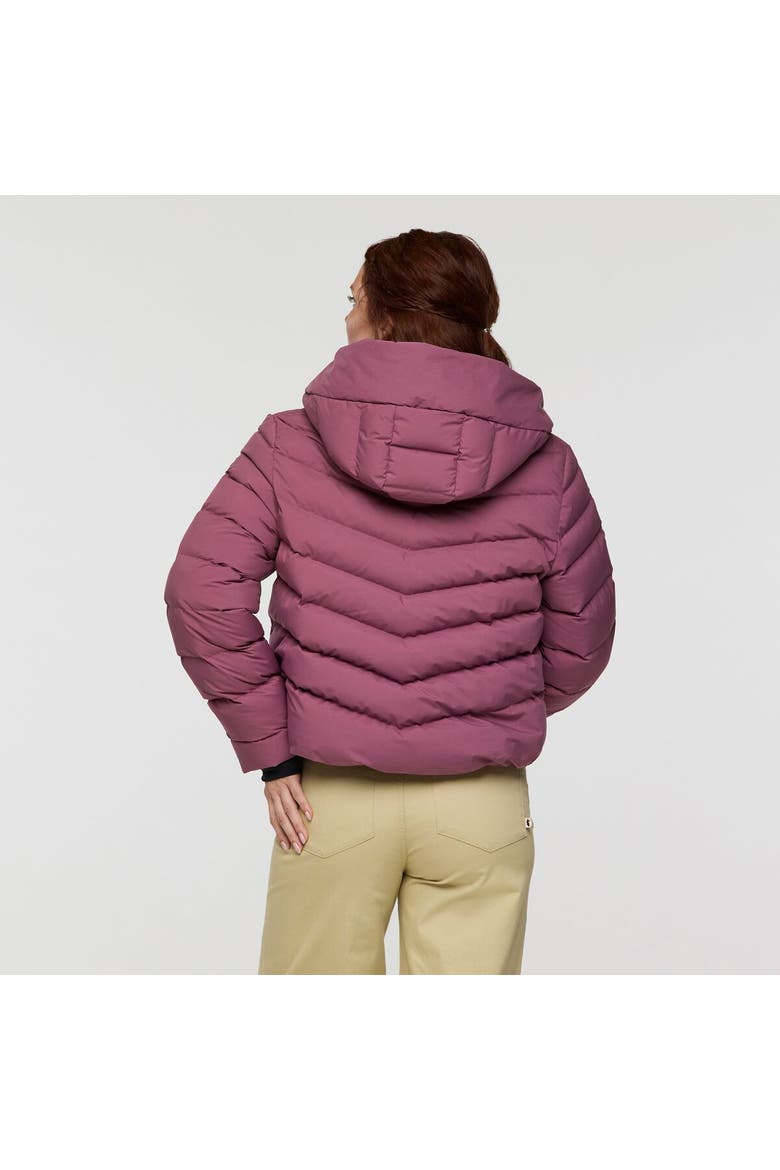 Alivio Down Jacket - Women's, Alternate, color, Fig