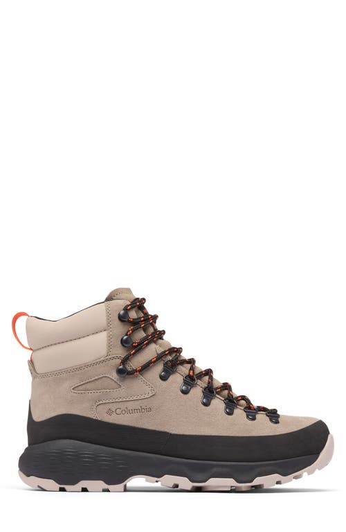 Columbia Newton Alpine Waterproof Hiking Boot In Neutral