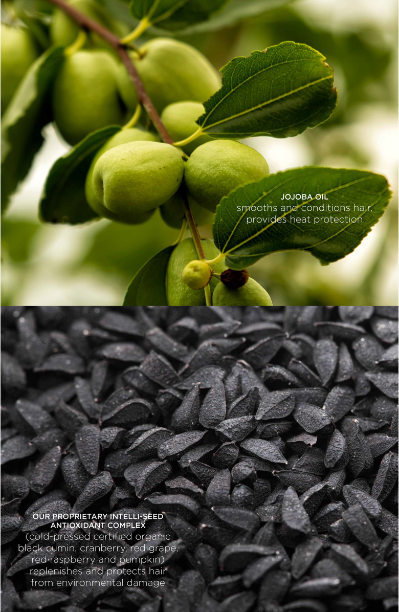 Intelligent Nutrients Amplifi-hair Blow Out Cream, Alternate, color, NO COLOR