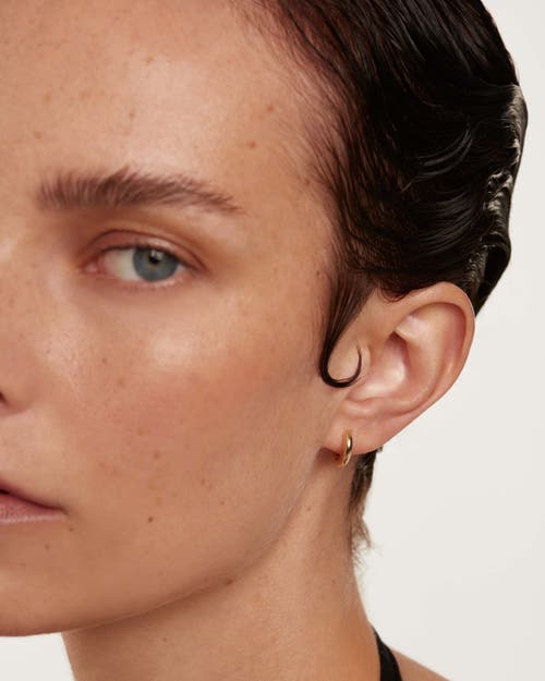 Pdpaola Gold Bold Mini Hoops