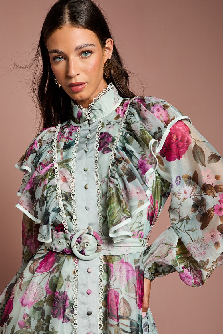 Long Sleeve Printed Organza Shirt Dress, Alternate, color, Sage