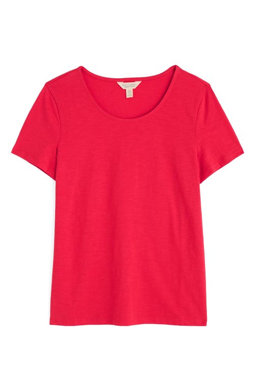 Seasalt Cornwall Camerance Organic Cotton T-shirt In Raspberry