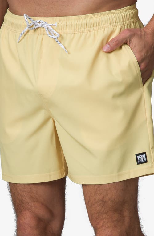 Reef Marzo Swim Trunks