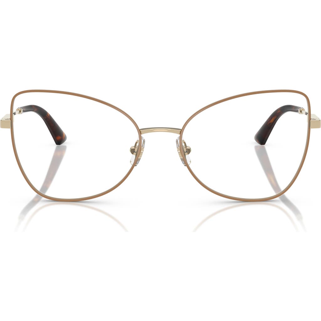 Jimmy Choo 55mm Butterfly Optical Glasses In Gold