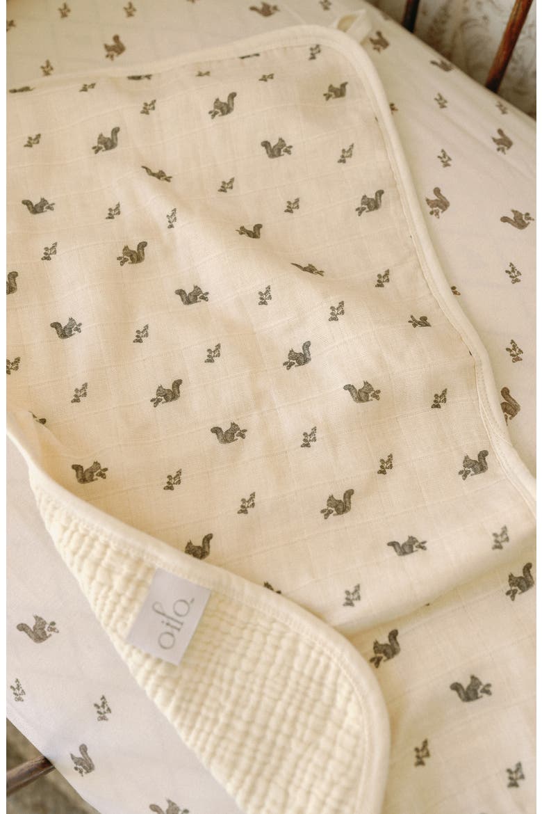 Assorted 2-Pack Organic Cotton Muslin Bibs, Alternate, color, MUSHROOMS/SQUIRRELS