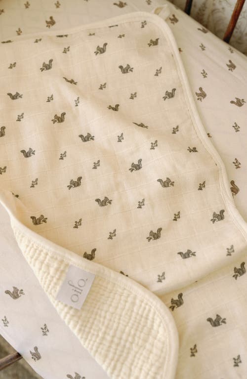 Oilo Assorted 2-pack Organic Cotton Muslin Bibs In Eggshell