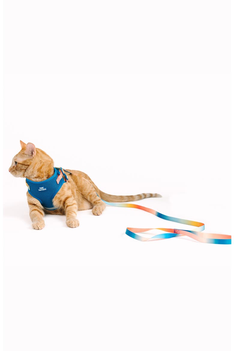 Atlas Cat Harness and Leash Set, Alternate, color, Atlas