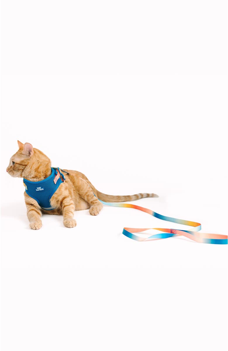 Pink Papyrus Atlas Cat Harness and Leash Set, Alternate, color, Atlas