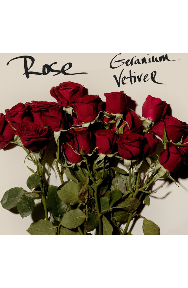 Elizabeth and James Nirvana Rose Eau de Parfum, Alternate, color, 