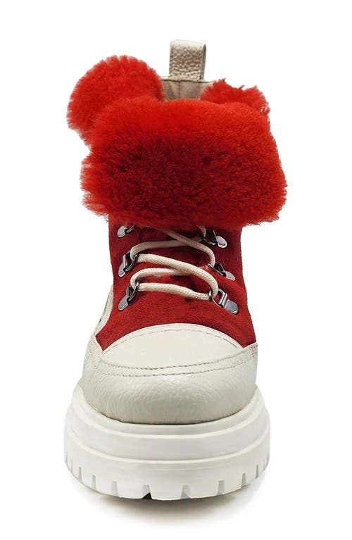 Beautiisoles Francy Genuine Shearling Lined Platform Boot In Red