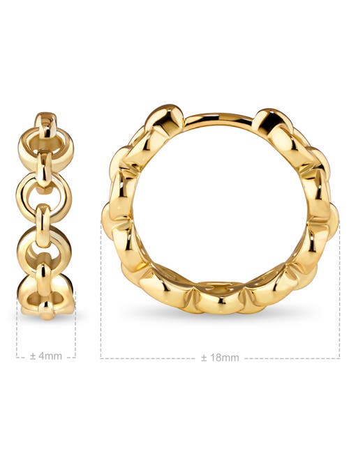 Devata Cable Link Hoop Earrings In Gold