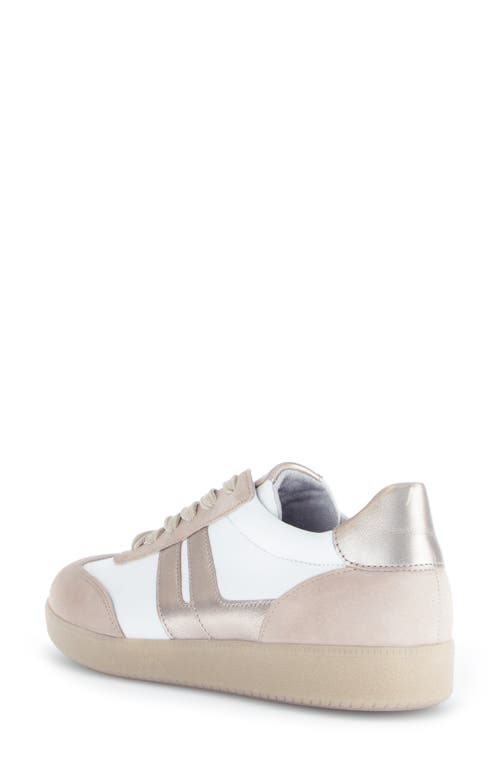 Shop Gabor 63.300 Sneaker In Puder