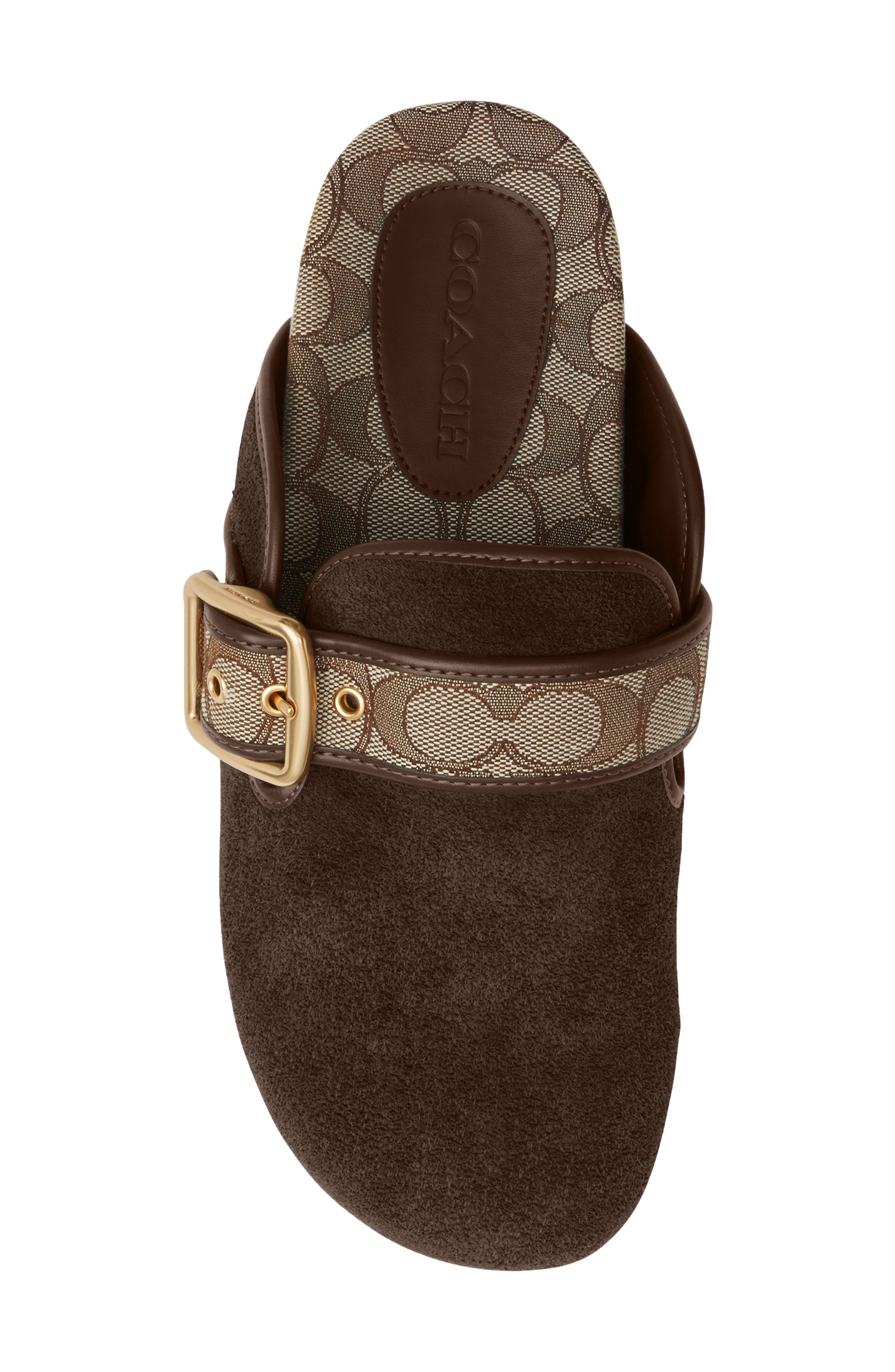 COACH Archival Buckle Mule, Alternate, color, Oak/ Chocolate