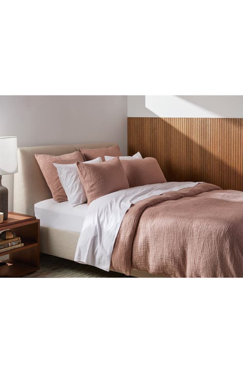 Parachute Cloud Turkish Organic Cotton Sham In Pink