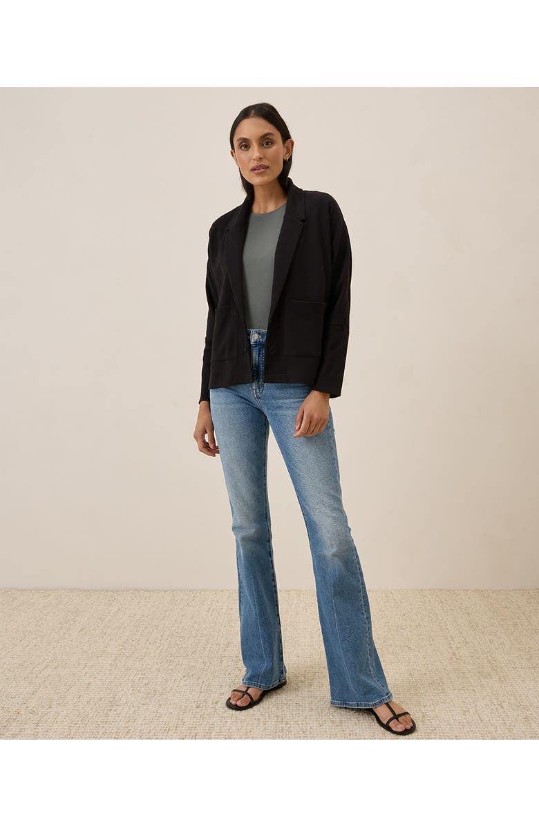 Pact Organic Cotton Airplane Relaxed Blazer, Alternate, color,