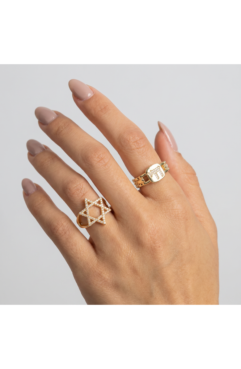 BY ADINA EDEN Pave Star Of David Double Row Ring, Alternate, color, Gold