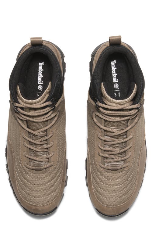 Timberland Mt. Maddsen Waterproof Hiking Boot In Medium Beige Mesh