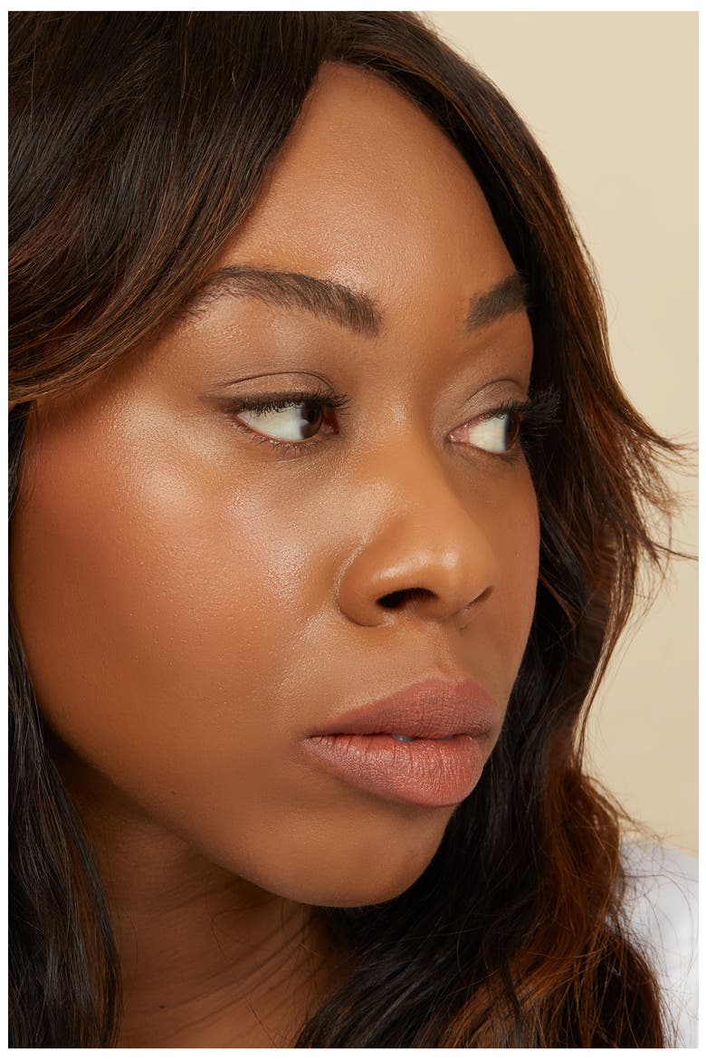 Liquid Flush Cheek Tint Blush, Alternate, color, WIEN