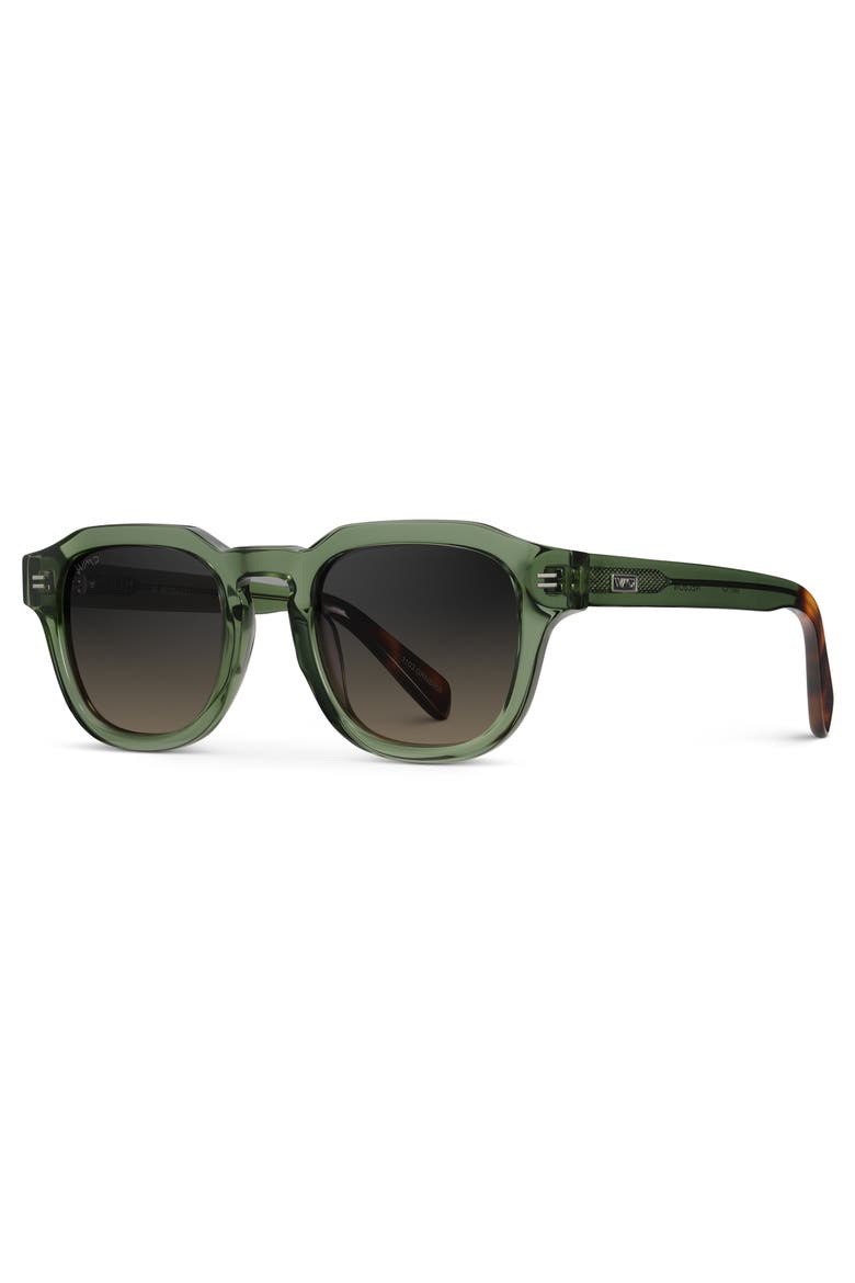 Nelson - 48mm Classic Square Polarized Sunglasses, Alternate, color, Crystal Agave Green