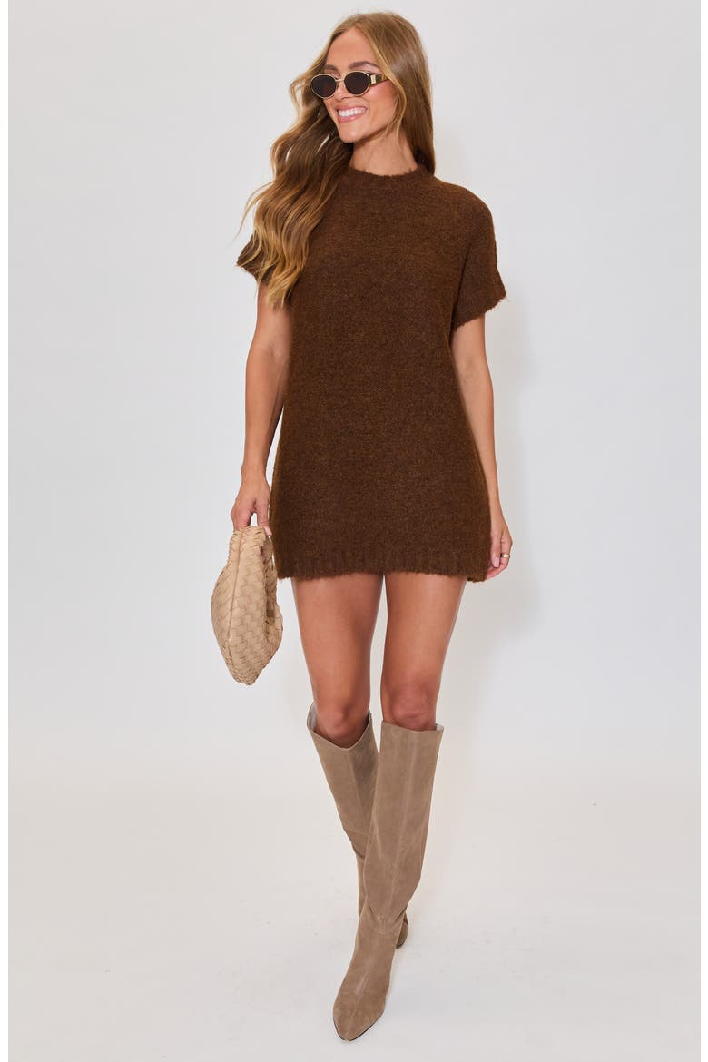 Hot Coco Sweater Minidress, Alternate, color, BROWN