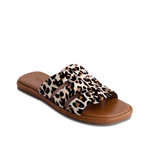 Shop Bernardo Footwear Tamer Haircalf Slip-on Sandal In Cream Leopard