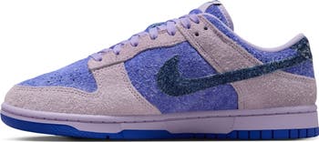 Dunk Low SE Basketball Sneaker
