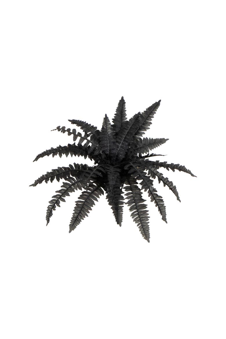 19-in Artificial Halloween Black Boston Fern - Set of 6, Main, color, Black
