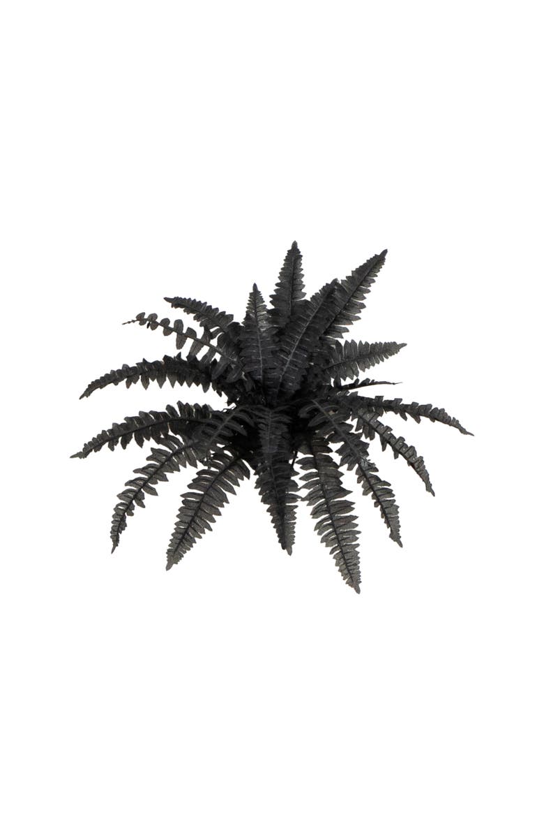 NEARLY NATURAL 19-in Artificial Halloween Black Boston Fern - Set of 6, Main, color, Black