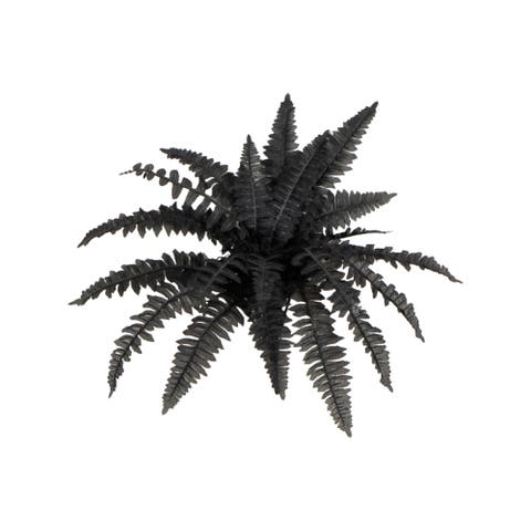 19-in Artificial Halloween Black Boston Fern - Set of 6