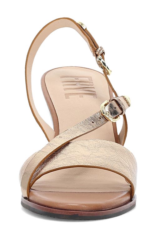 Frye Rachel Metallic Buckle Wedge Sandals In Dark Gold