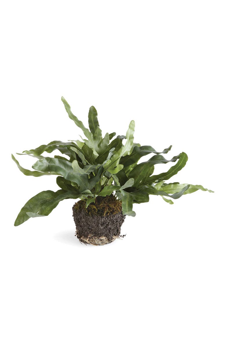 11.5" Echeveria Fern Drop-In Root Ball Faux Greenery Plant All Seasons, Main, color, Green