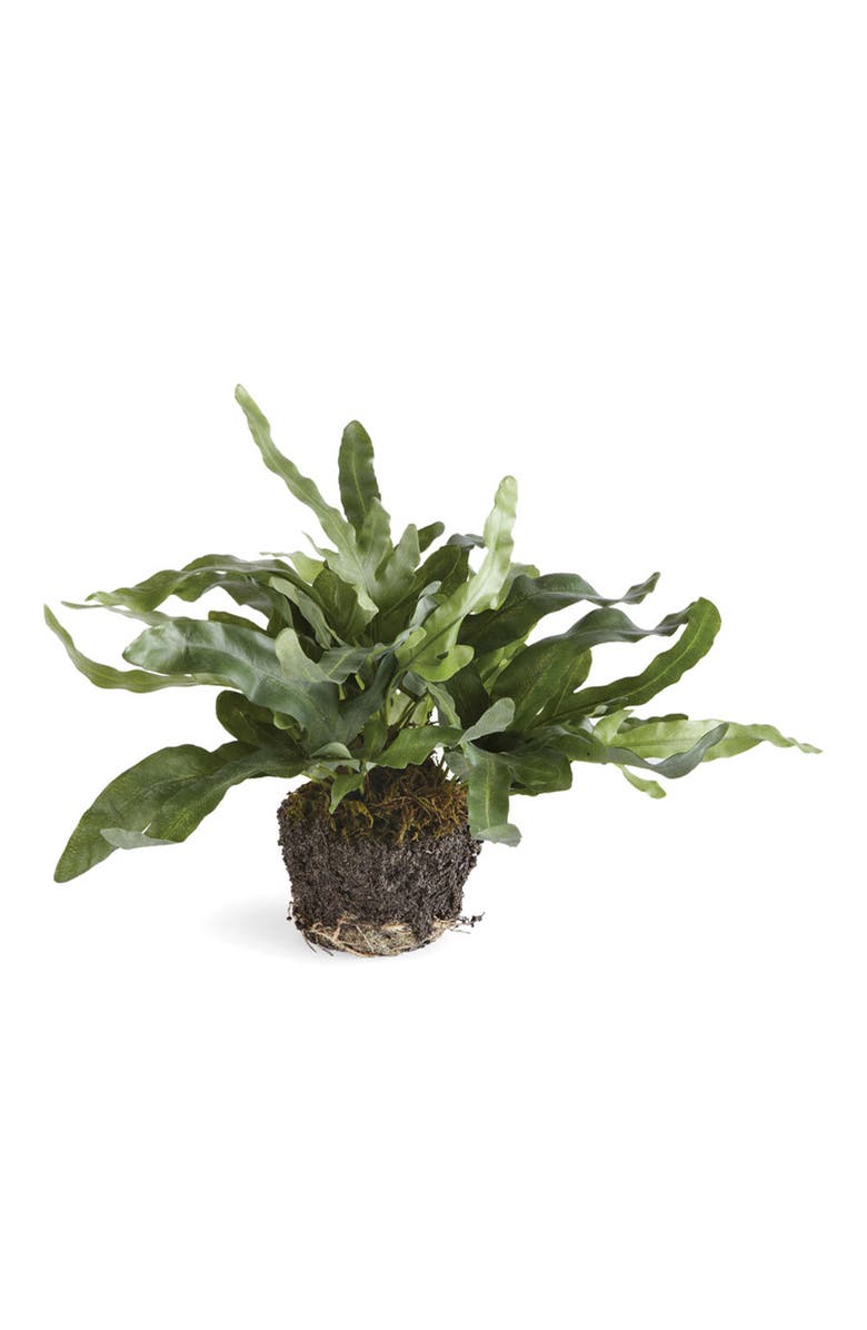 Napa Home & Garden 11.5" Echeveria Fern Drop-In Root Ball Faux Greenery Plant All Seasons, Main, color, Green