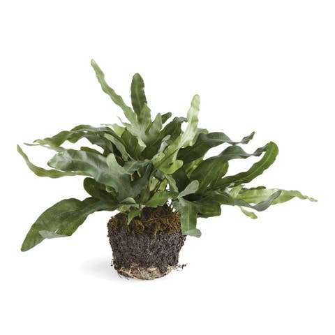 11.5" Echeveria Fern Drop-In Root Ball Faux Greenery Plant All Seasons