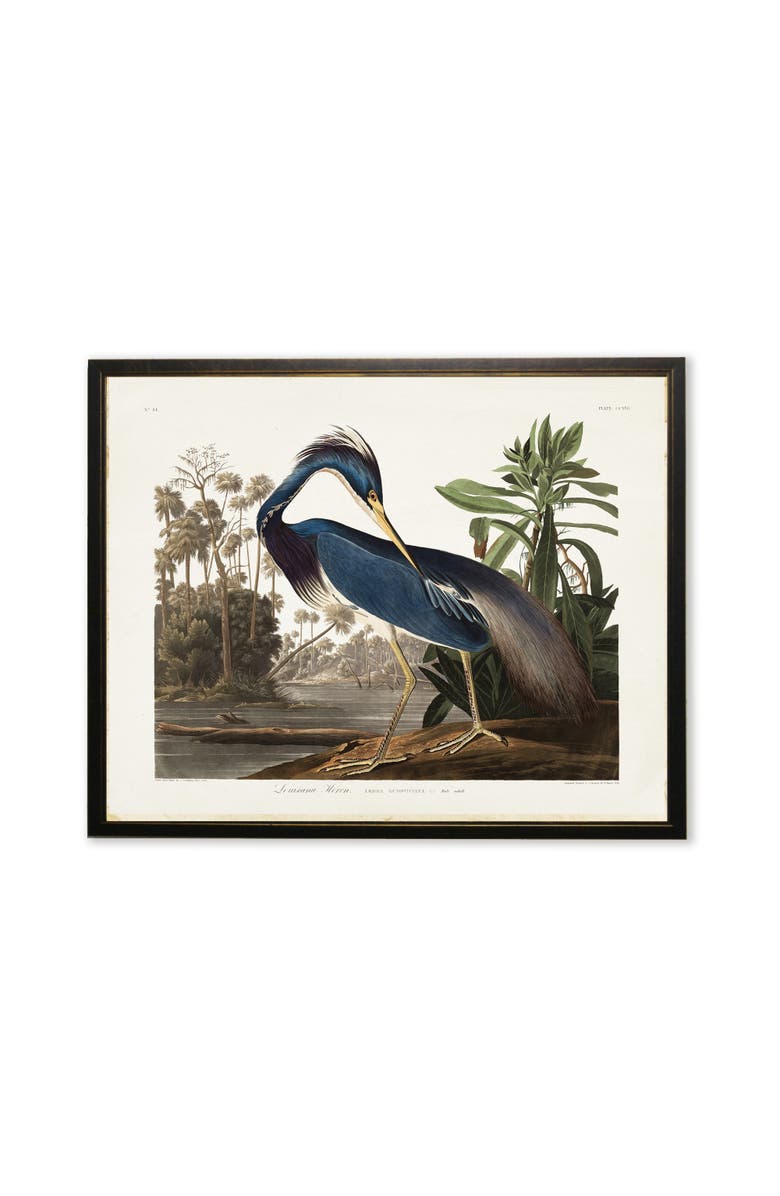 Antique Curiosities Blue Heron in Black and Copper Frame, Main, color, Multi