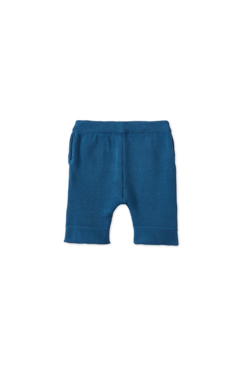 Organic Cotton Nordic Knit Shorts, Alternate, color, Fjord Blue