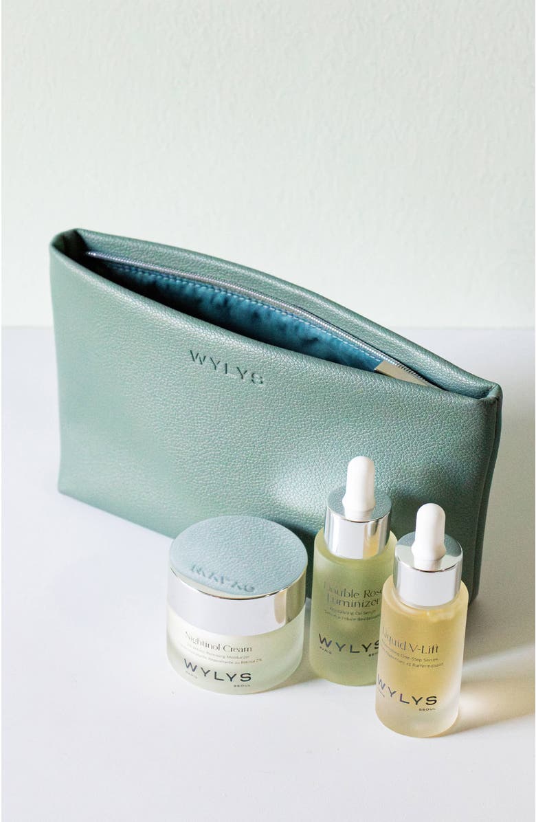 WYLYS Sage Verte Makeup Bag, Alternate, color, NO COLOR