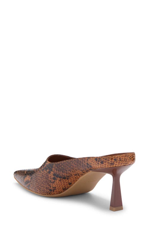 Open Edit Vivica Pointed Toe Mule In Brown Snake