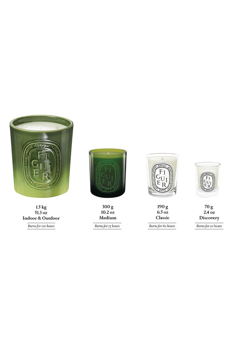 Diptyque Figuier (Fig Tree) Scented Indoor & Outdoor Candle, Alternate, color, Green Vessel