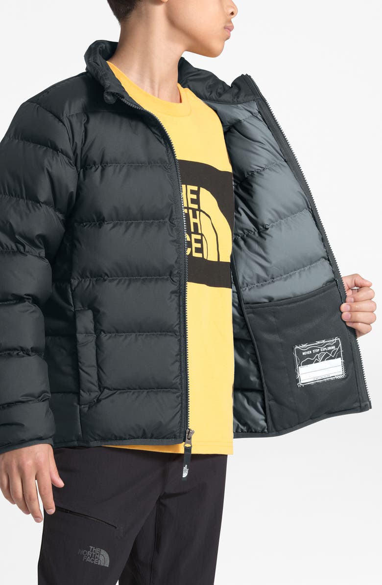 The North Face Andes Water Repellent 550-Fill Power Down Jacket, Alternate, color, 